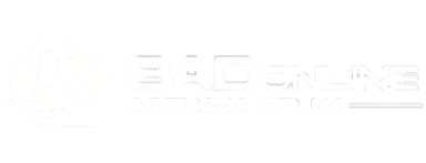 Białe logo ze stylizowaną kulą ziemską i napisem SADONLINE AGENCJA CELNA na jasnoszarym tle.